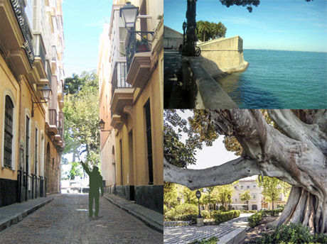 Vea Murguía 38. Viviendas en régimen de cooperativa. Información y Venta: 626 842 176