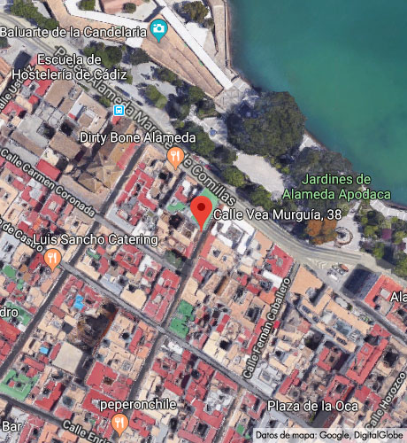 Vea Murguía 38. Viviendas en régimen de cooperativa. Información y Venta: 626 842 176